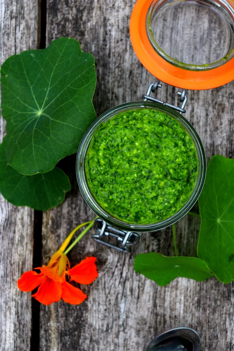 Nasturtium Pesto
