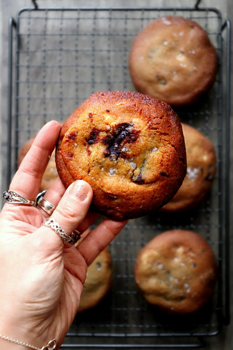 Double Chocolate Peanut Butter Cookies